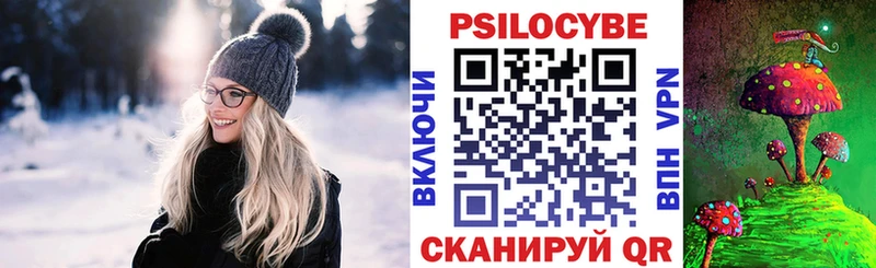 Псилоцибиновые грибы Psilocybe  ОМГ ОМГ ссылка  Адыгейск  как найти наркотики 